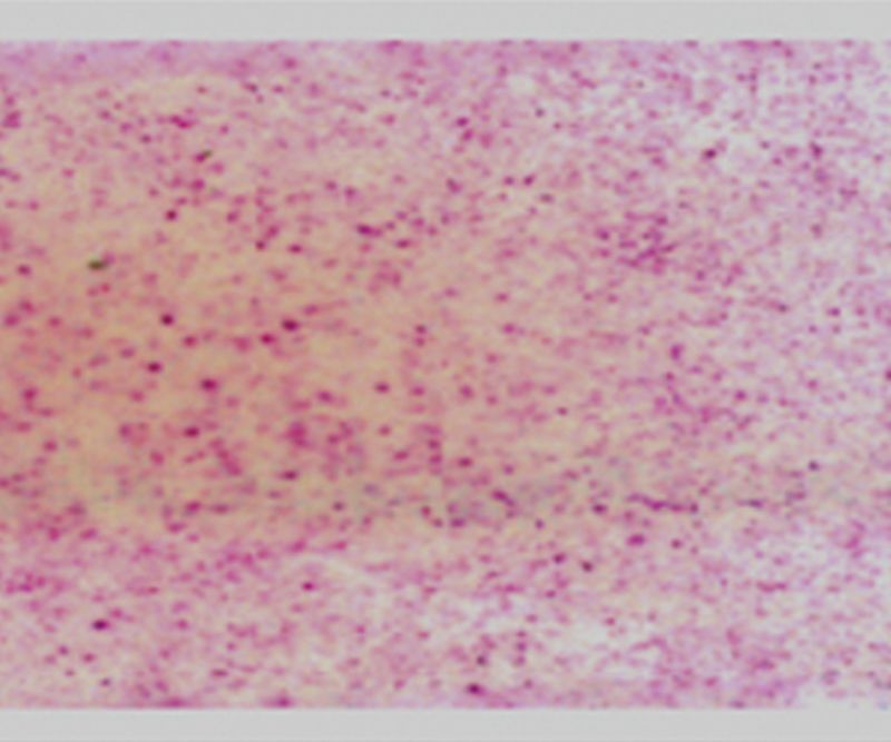 �ȱ��αֽ/��ֽ̼