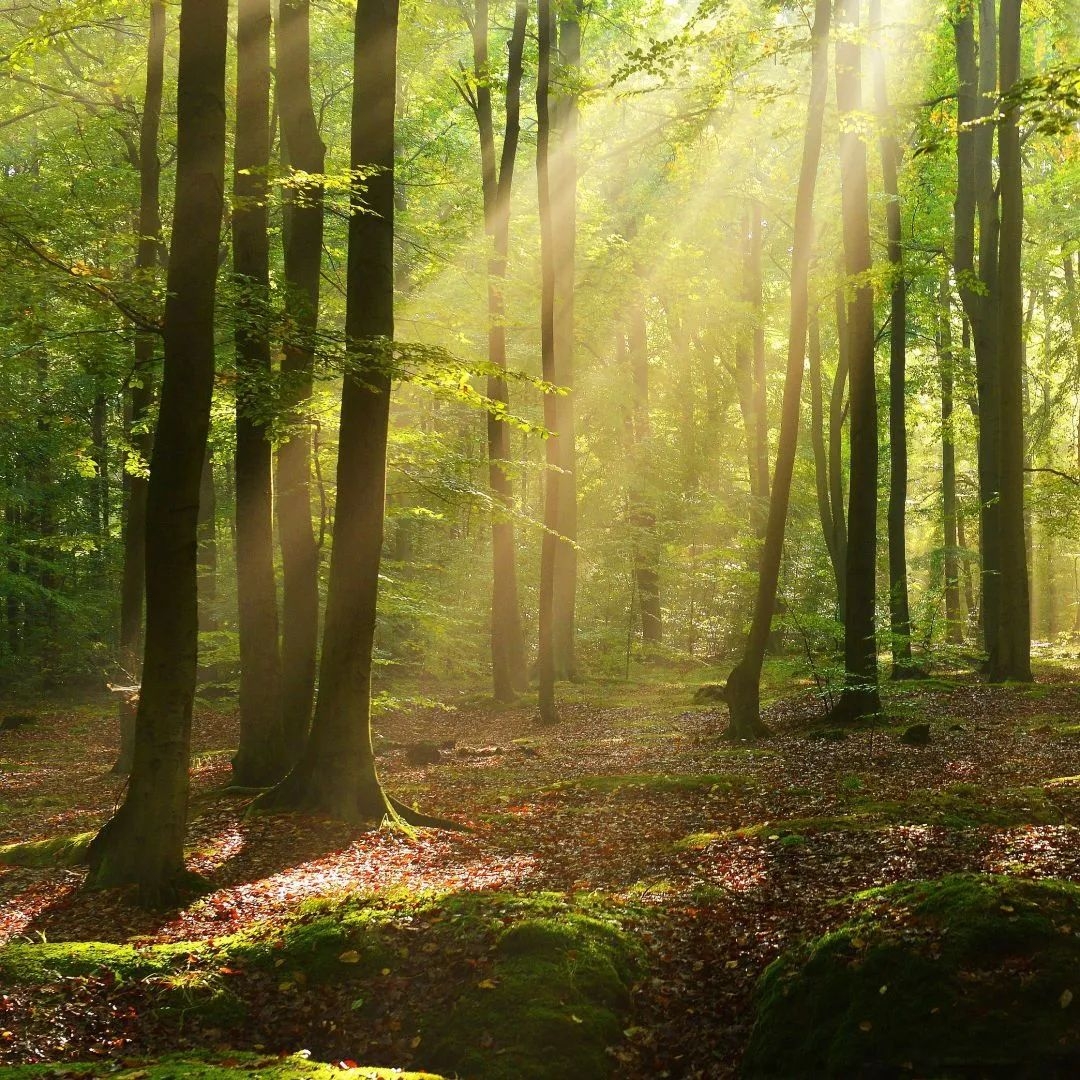 UU����(�й���)-�ٷ���վ