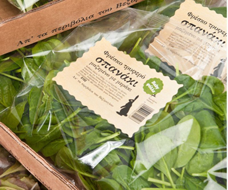 Thermal paper adhesives